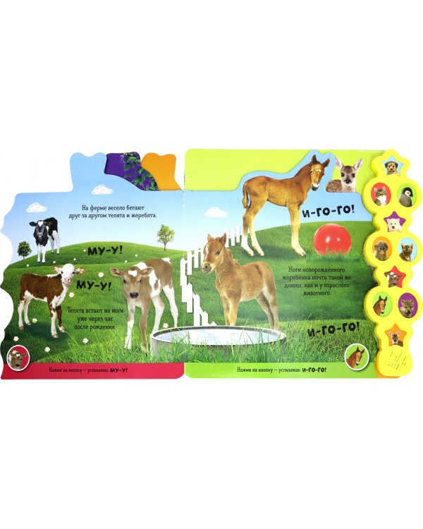 Послушай и узнай! Кто рычит, пищит, мяукает