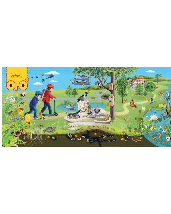 Природа в городе