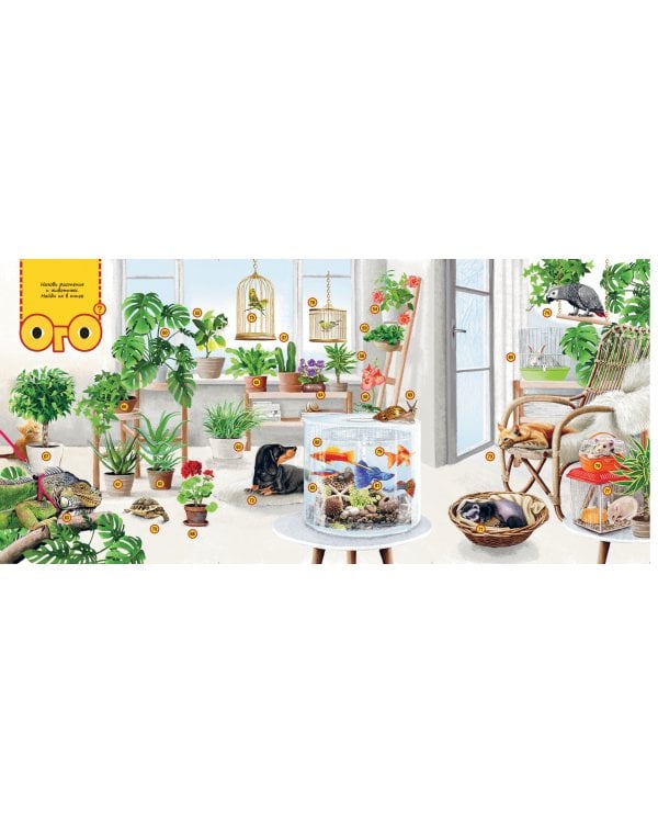 Природа в городе