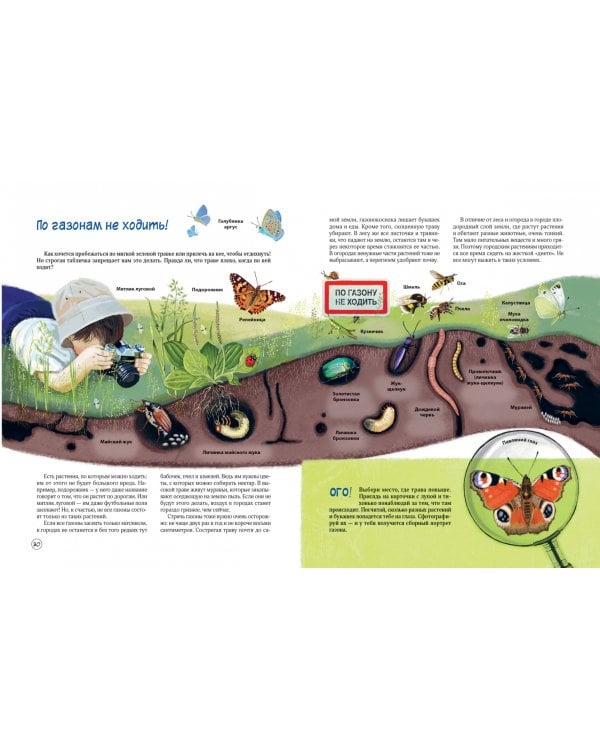 Природа в городе