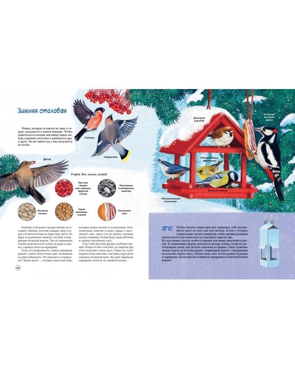 Природа в городе