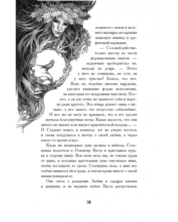 Дополнительное изображение книги «Соловей и роза»