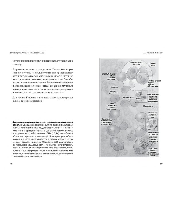 Жизненный план, или Революционная теория о том, почему мы стареем и возможно ли этого избежать