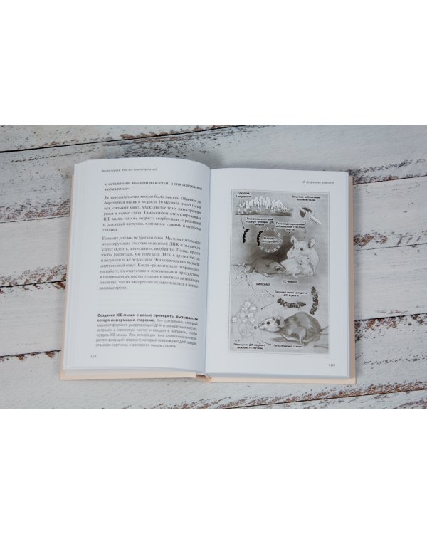 Жизненный план, или Революционная теория о том, почему мы стареем и возможно ли этого избежать