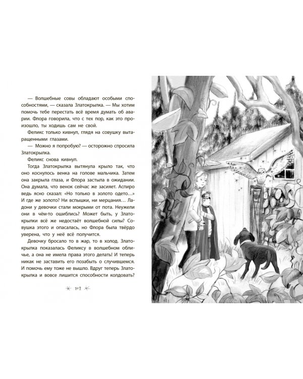 Загадка золотого пёрышка