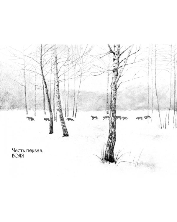 Мага уводит стаю