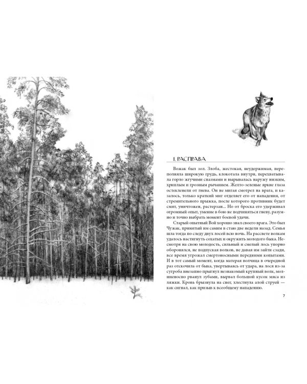 Мага уводит стаю