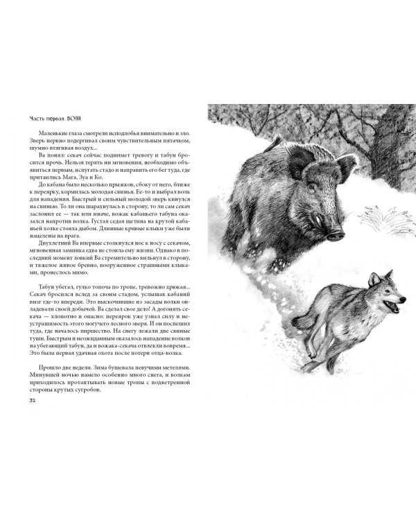 Мага уводит стаю