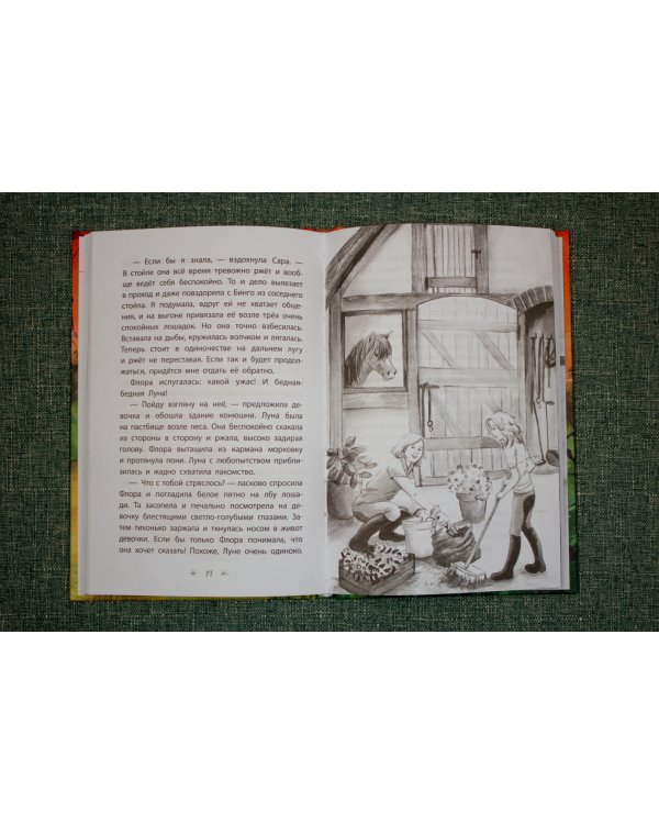 Мага уводит стаю