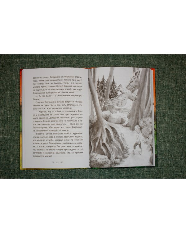 Мага уводит стаю