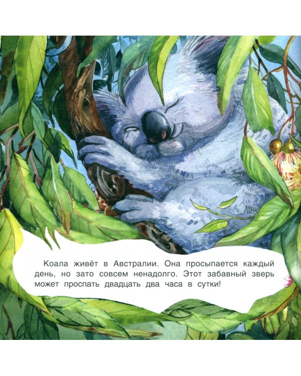 Кто как спит