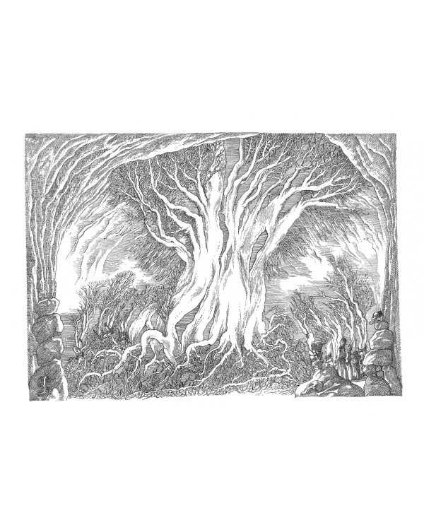 Дорога через зиму