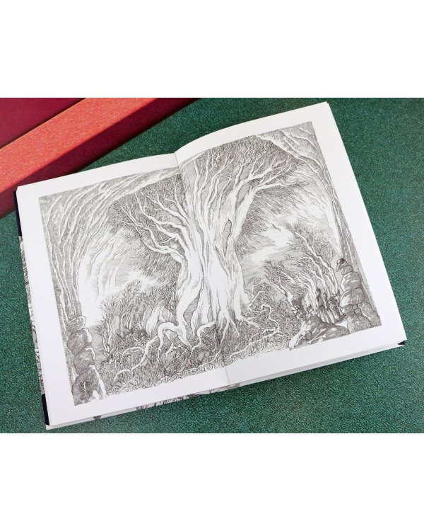 Дорога через зиму