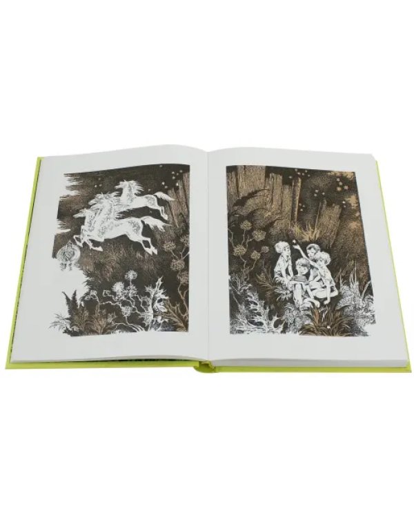 Дополнительное изображение книги «Летящие сказки»
