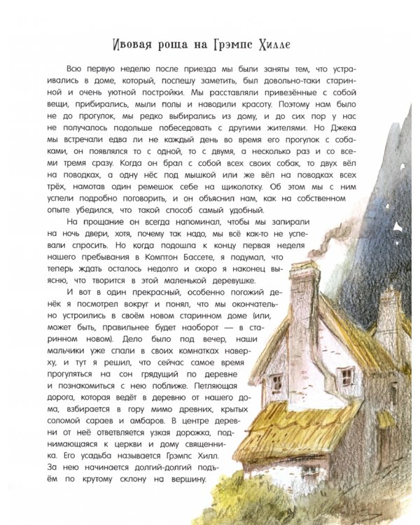 Продавец троллей