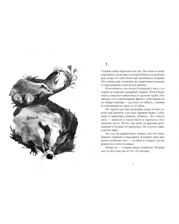 Братья. Комплект из 4 книг