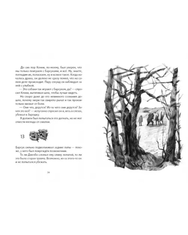 Братья. Комплект из 4 книг