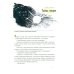 Волшебники приходят к людям. Книга о сказке и о сказочниках