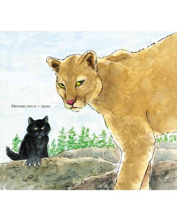 Кот Крамер все время спит