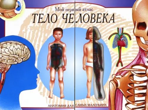 Детская познавательная литература Тело человека. Мой первый атлас
