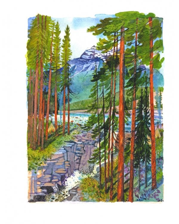 Саджо и ее бобры