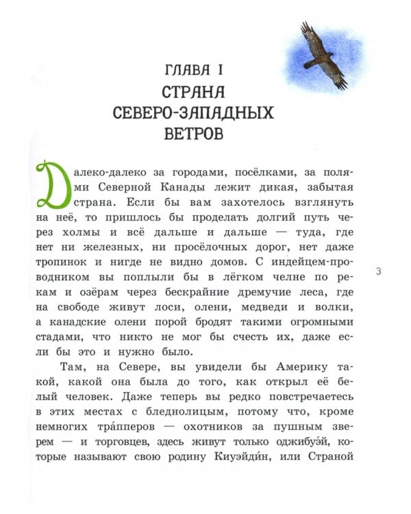 Саджо и ее бобры