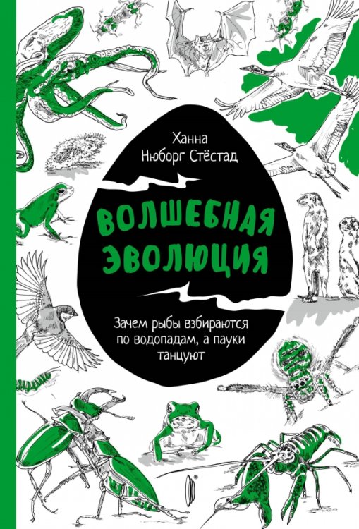 Биотека Волшебная эволюция. Зачем рыбы взбираются по водопадам, а пауки танцуют
