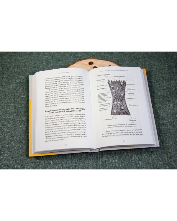 Мастерская памяти. Лучшие методики запоминания в истории человечества