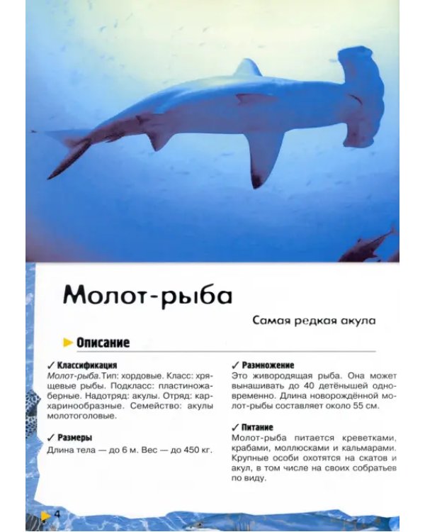 Под водой, на суше, в воздухе. Увлекательное путешествие в мир живой природы