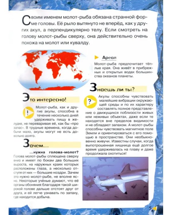 Под водой, на суше, в воздухе. Увлекательное путешествие в мир живой природы