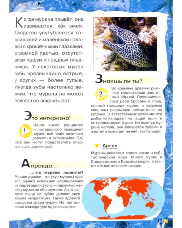 Под водой, на суше, в воздухе. Увлекательное путешествие в мир живой природы