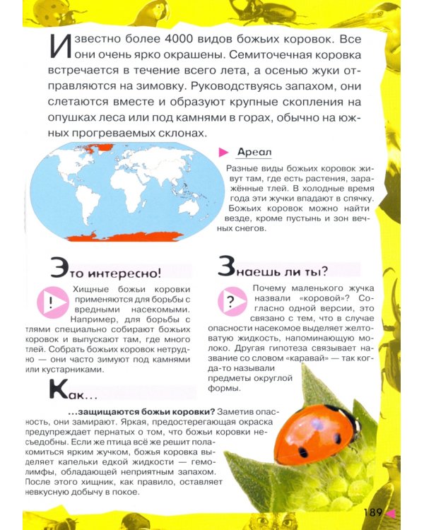 Под водой, на суше, в воздухе. Увлекательное путешествие в мир живой природы