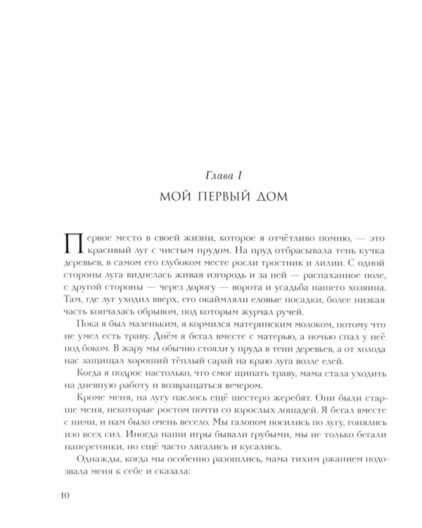 Чёрный Красавчик