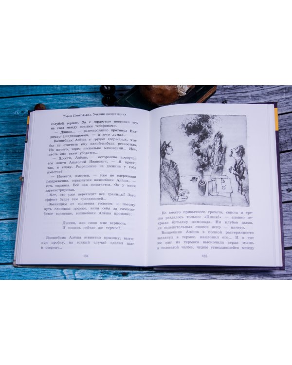 Ученик волшебника