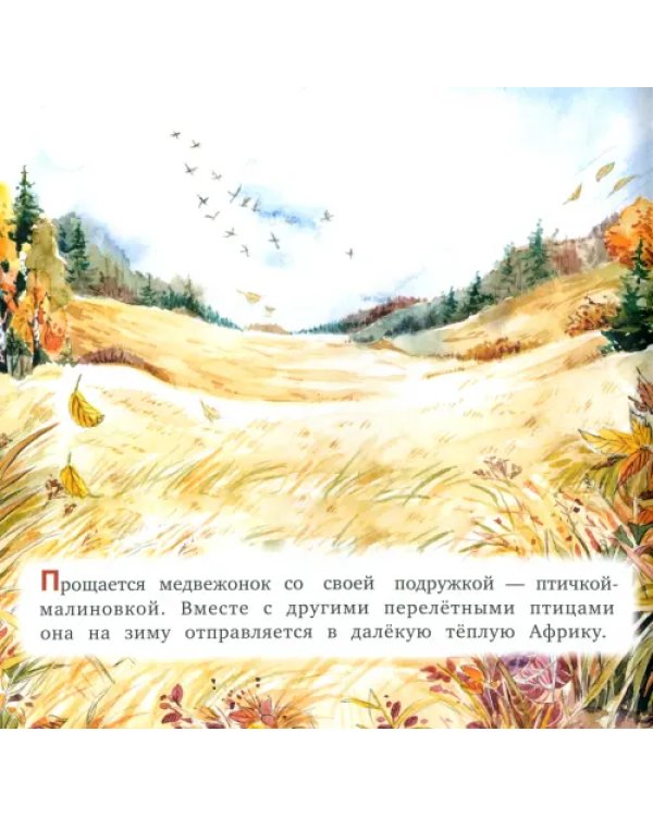 Кто как зимует