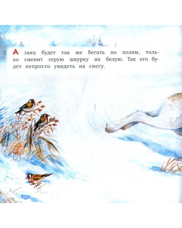 Кто как зимует