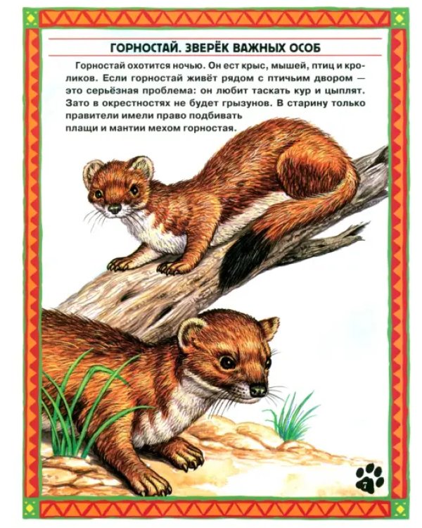 Большие и маленькие. Интересные факты о животных