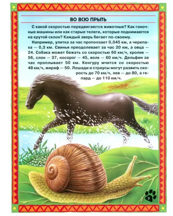 Большие и маленькие. Интересные факты о животных