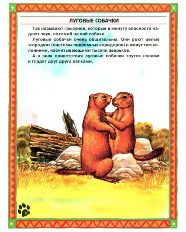 Большие и маленькие. Интересные факты о животных