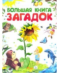 Большая книга загадок