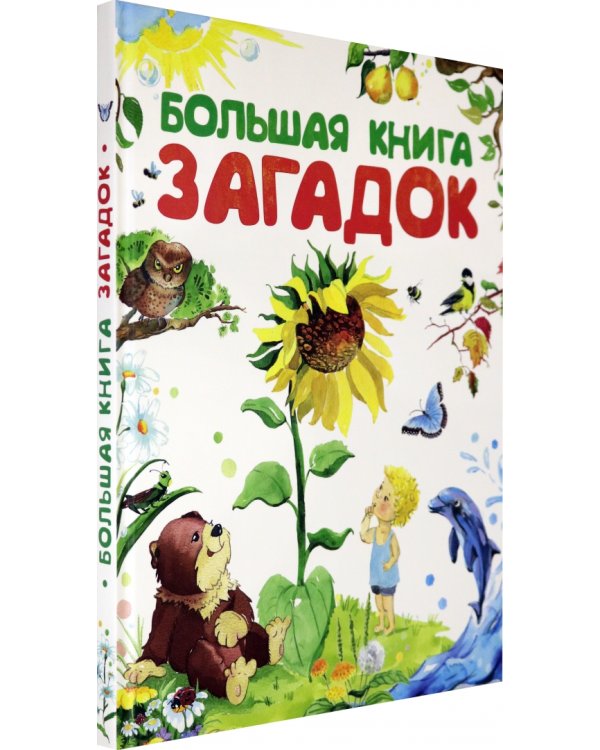 Большая книга загадок