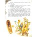 Триумф пана Кляксы