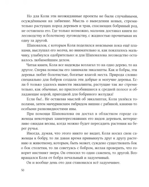Ручей старого бобра