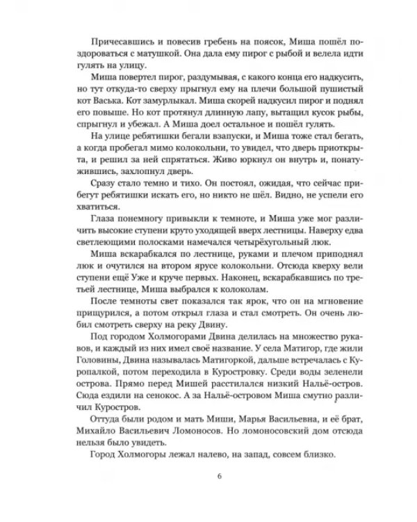 Мальчик из Холмогор