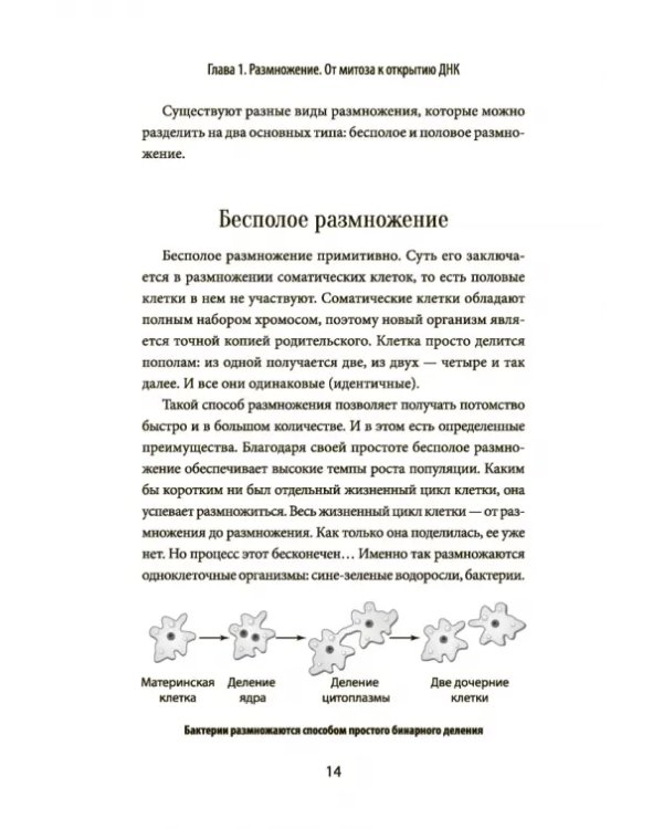 Зарождение человека. От замысла природы до лабораторной пробирки