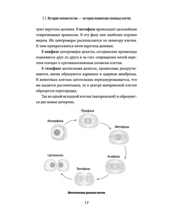 Зарождение человека. От замысла природы до лабораторной пробирки