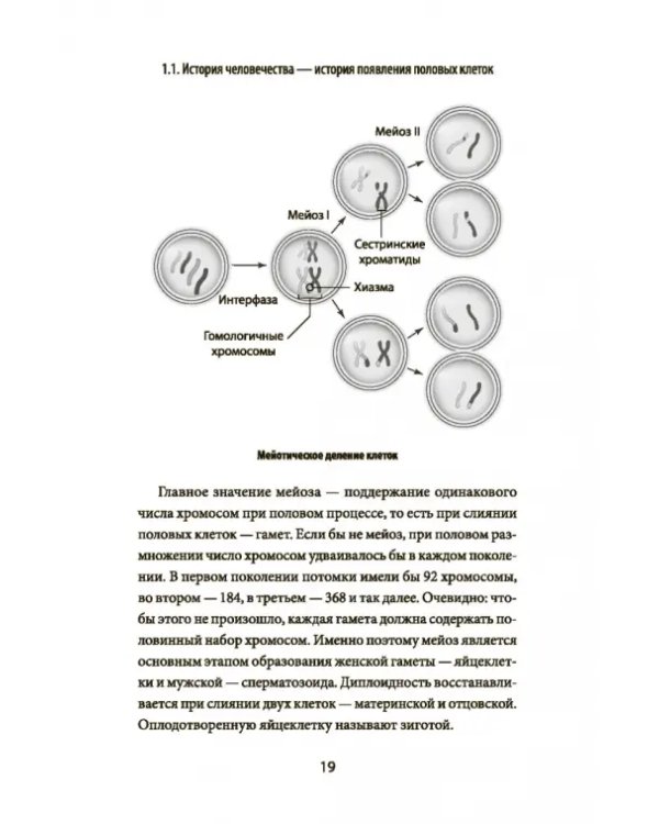 Зарождение человека. От замысла природы до лабораторной пробирки