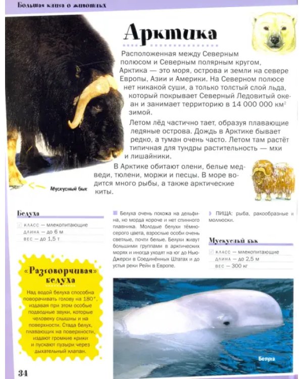 Большая книга о животных