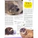Большая книга о животных