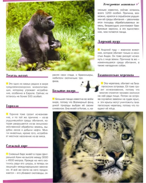 Большая книга о животных